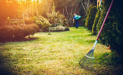 Lawn rake and lawn maintenance