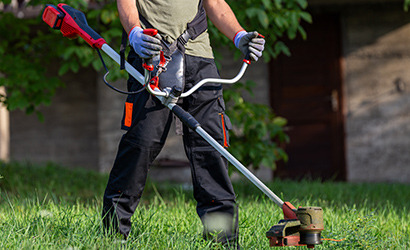 Weed trimming lawn